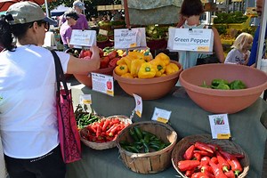 How to Start and Grow Your Farming Business