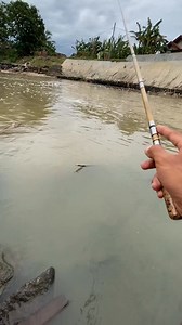 Tanago rod bambu panjang 180cm | Tegar Andri Saputra