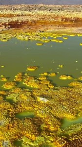 111K views · 650 reactions | Visit Danakil Depression Ethiopia. . . . #Ethiopia #danakildepression #afarpeople #danakil #afar | Mamaru Ethiopian Tours | Facebook