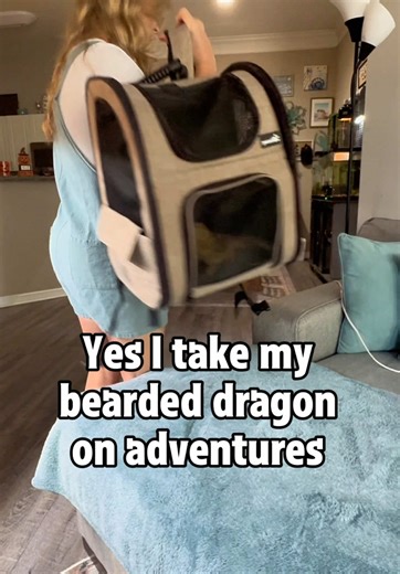 Adventuring with Your Bearded Dragon