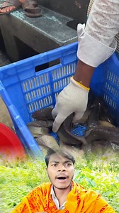 87K views · 68 reactions | #trending #viral #virals #reels #fb #funny #comedy #instagram #facebookreelsviral | Sadanand_04 | Facebook