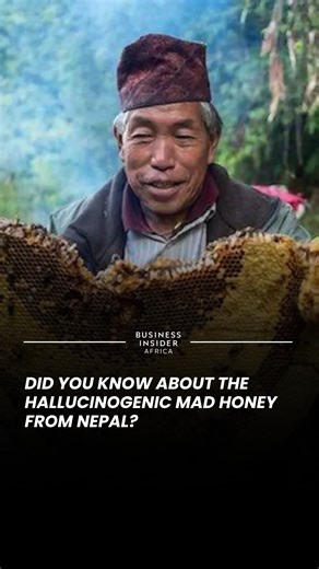 "Mad honey" is the rarest kind of honey in the world. #MadHoney #Nepal #Himalayas | Business Insider Africa