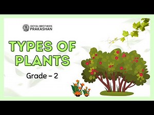 Types of Plants | Class 2 | Illustrative Series | Goyal Brothers Prakashan