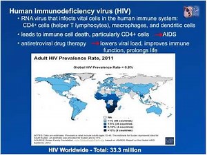 Deep Sequencing of HIV Detection of Drug Resistance Variants and Tracking Viral Haplotypes