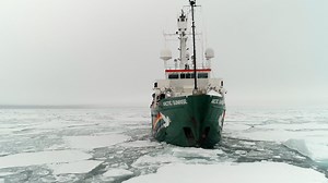 ICE PILOT PAUL