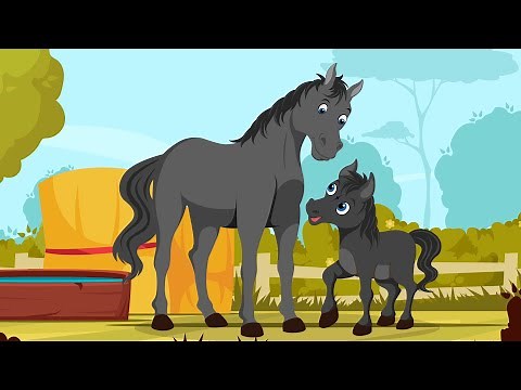 little horse adventures | Black Beauty | Kid's Stories