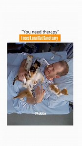 Who needs therapy when you have 800 cats? 😻✨ We’ve always known that spending time with our furry residents at Lanai Cat Sanctuary is good for the soul, but did you know it’s good for your blood pressure too? The social media manager tracked a her BP before, during, and after her visit, and guess what? It normalized just from hanging out with our cats. Science is finally catching up to what cat lovers have always known, purr therapy is real. Come for the cats, stay for the stress relief. 🐾💆‍♀