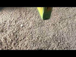 Opening to Gullah Gullah Island Sing Along with Binyah Binyah 1995 VHS