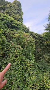 1.5M views · 31K reactions | Esto es sorprendente estamos dentro del castillo antiguo #abandonedplaces #europe #fblifestyle #explore #facebookpost | Explorer Garcia | Facebook