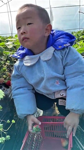 शरारती बच्चे की स्ट्रॉबेरी कहानी 🍓😂।। Carriage House wood artist ।। #shortvideo #funny