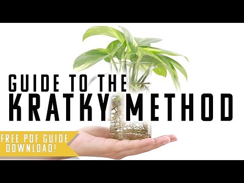 Guide to the Kratky Method | Understanding Passive Hydroponics
