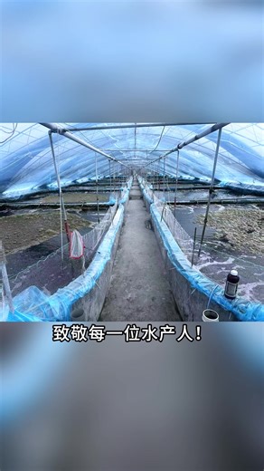 #aquaculture #nanobubble #微纳米气泡发生器 #水产养殖 净化水质，降低氨氮及亚硝酸盐含量