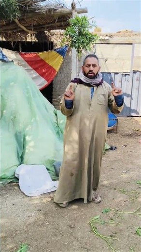 الحق خروفك بيحول 🙏🤗🎉#الغنم #الرحماني #الأوسيمي #البرقي #الماعز #الريف_المصري 0101108188601020961281