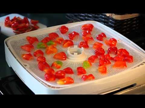 Drying Habanero Peppers