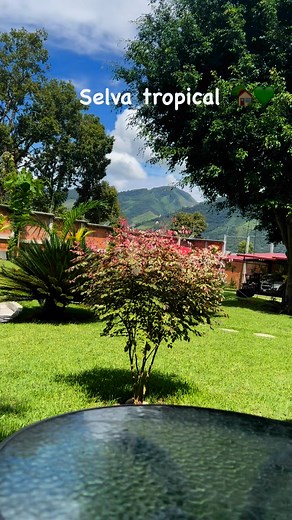 #selvacentralPeru #relajacionybienestar #selvacentralPeru #casadecampo #selvaperuana #Familia #vacacionesenfamilia | Casa de Campo Doña Isabella