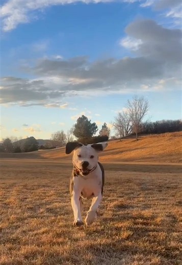 Smoke (@smoketherescue)’s videos with Beautiful Boy (Darling Boy) - Ultimate Mix - John Lennon