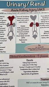 Understanding AKI and why you need to watch for metabolic acidosis Save 20% off back to school sale using code: Student20 at professormollie.com #aki #nursingschool #nursingeducation #nursingtiktok #nursing#nursingexams #nursingnotes #nursingstudent #futurenurse | Professormollie