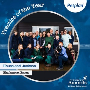The wait is finally over! We are delighted to be able to announce the winners of the 2024 Petplan Veterinary Awards! 🧡 A big thank you again to everyone who took the time to nominate in this years very special 25th anniversary of the awards. Please join us in congratulating all the truly deserving finalists and winners! 👏🥳 To find out more about the awards and see all the winners, visit 👉https://bit.ly/PetplanVeterinaryAwards #petplanvetawards | Petplan UK