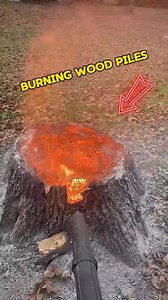 176K views · 824 reactions | Do you know why Europeans burn tree stumps | Mech ManiaX | Facebook