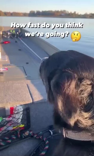 Jon Boat Speed: Discover How Fast It Can Go