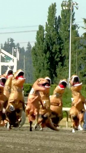 The REAL race that stops the nation! 🦖 Every year hundreds of punters dressed up in T-Rex costumes race down this thoroughbred racetrack in Washington, USA. This year, 150 elite T-Rexes plodded down the 100m race, with Sexy Rexy taking the win (of course) and it’s nothing short of outrageous! 🦖😂 #trexderby #dino #trexcostume #trexrace #emeralddowns | Man of Many