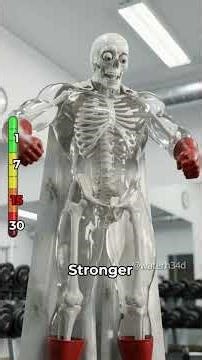 What Happens If You Do The One Punch Man Workout For 30 Days