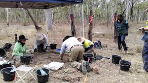Self-proclaimed ‘born stickybeak’ unearths perfect career ⛏️ From Cape York to Queensland Museum - University of Southern Queensland Archaeology graduate Dr Leanne Bateman uncovers facts from the past - every day. #NAW2021 | #2021NAW | USQ School of Humanities and Communication Learn more: bit.ly/3uZwf5V | University of Southern Queensland - Australia