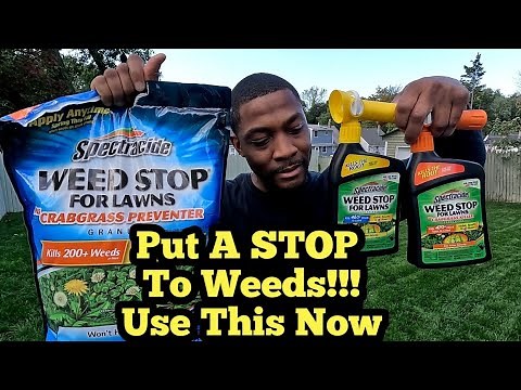 How To Kill Weeds and Keep Weeds Away Using Spectracide Weed Stop For Lawns