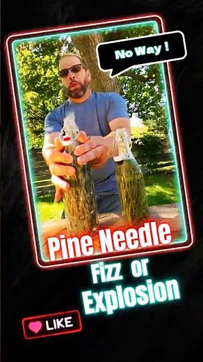Crazy Pine Needle Experiment Gone Wild!