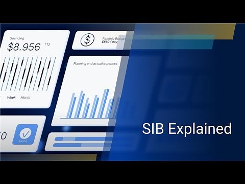 How SIB Helps You Never Overpay: Cost Reduction Explained