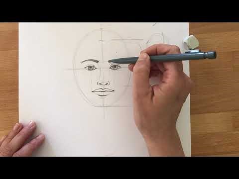 1. Drawing and proportions of a female face