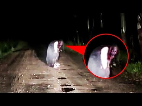 Top 7 Very Haunting & Shocking Ghost Videos Captured Recently By YouTubers And Ghost Hunters !!