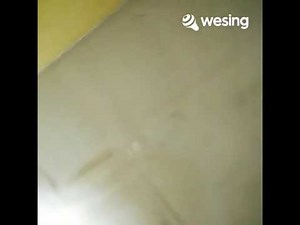 Bruce Springsteen - Born To Run (1975)