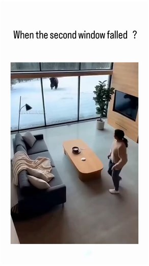globalvibeee on Instagram: "The post features an video showing a grizzly bear charging through a floor-to-ceiling window into a sleek, snow-view luxury home, with residents reacting in frozen panic as glass scatters across the floor. Posted January 4, 2026. , known for viral animal clips, it exploded to 8.8 million views and 2,200 likes in hours, capitalizing on the thrill of simulated wildlife invasions. Online scrutiny reveals fabrication flaws—like delayed glass breakage and impossible trajec