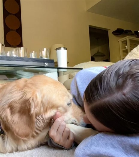 Amymarie Gaertner on Instagram: "one day at a time, my sweet girl 🐾"