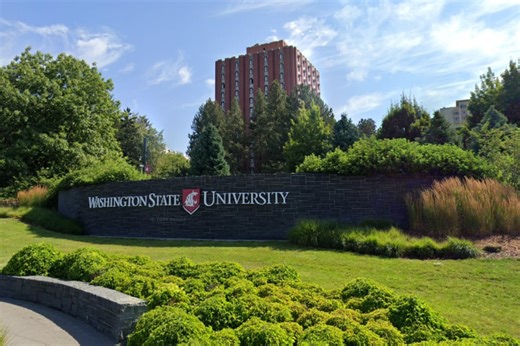 WSU Names Sandra Haynes To Lead Multiple Campuses Amid Enrollment Slide