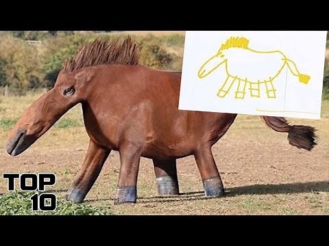 Top 10 Extremely Cursed Images