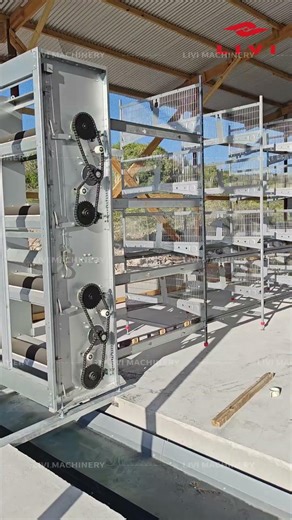 🇬🇭 30,000 Layers Poultry Farm Project in Ghana – Installation in Progress