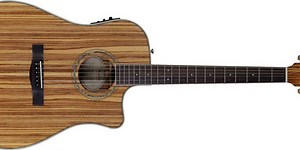 Fender Acoustic Adds Models for Summer 2012