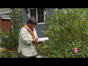 Drawing nature's details: Botanical art classes bloom at Mass. Horticultural Society