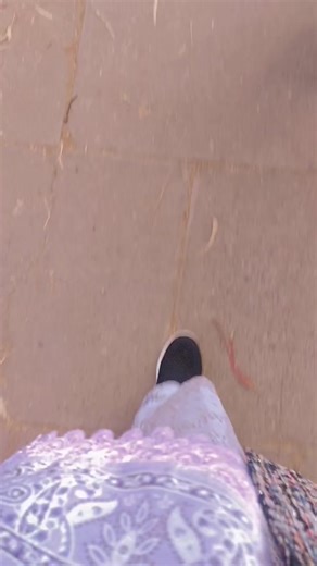 Understanding Computer Science Basics for Beginners