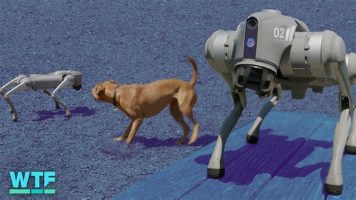 My first day with Unitree's Go2 Pro robot dog