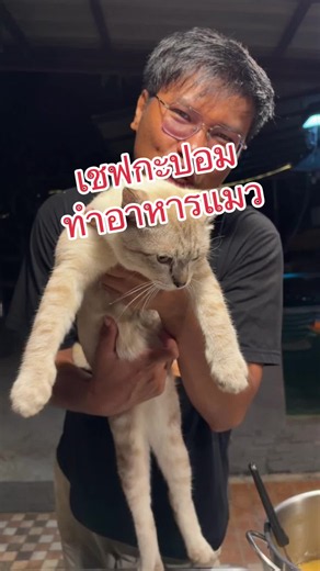 เชฟกะปอมทำอาหารให้แมวครั้งแรก ##กะปอม##เชฟกะปอม ##ทาสแมว##อาหารแมว##ห้องครัวtiktok