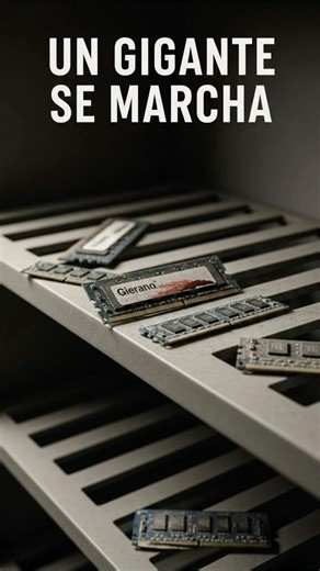 A RAM giant disappears and the market enters a crisis