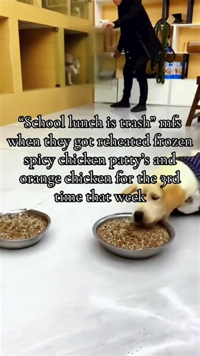 #funny #schoolfood #like #fyp #xbcyza | orange chicken