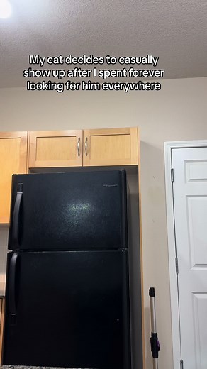 He found a new place to nap no biggie 🤦‍♀️😂 #catsoftiktok #bengalsoftiktok #catfluencer #naughtycats #threenawtycats