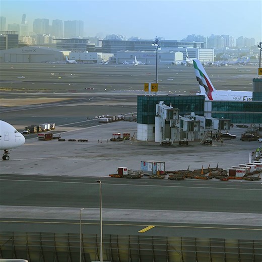 440K views · 10K reactions | Turn around, bright eyes.  | Emirates | Facebook