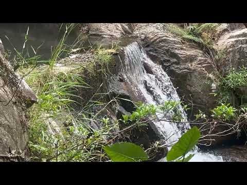 4K Park Nature ASMR: Natural Waterfall, Gurgling Stream