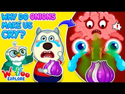 NEW | Wolfoo Explore 🔍 Why Do Onions Make Us Cry? 🧅 Wolfoo Channel | Kids Cartoon