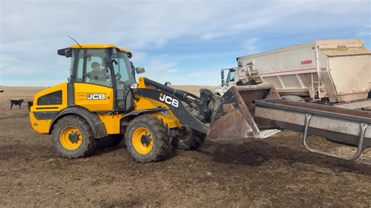 Cow Flipped Over in Feed Trough - Dinner Time Adventure